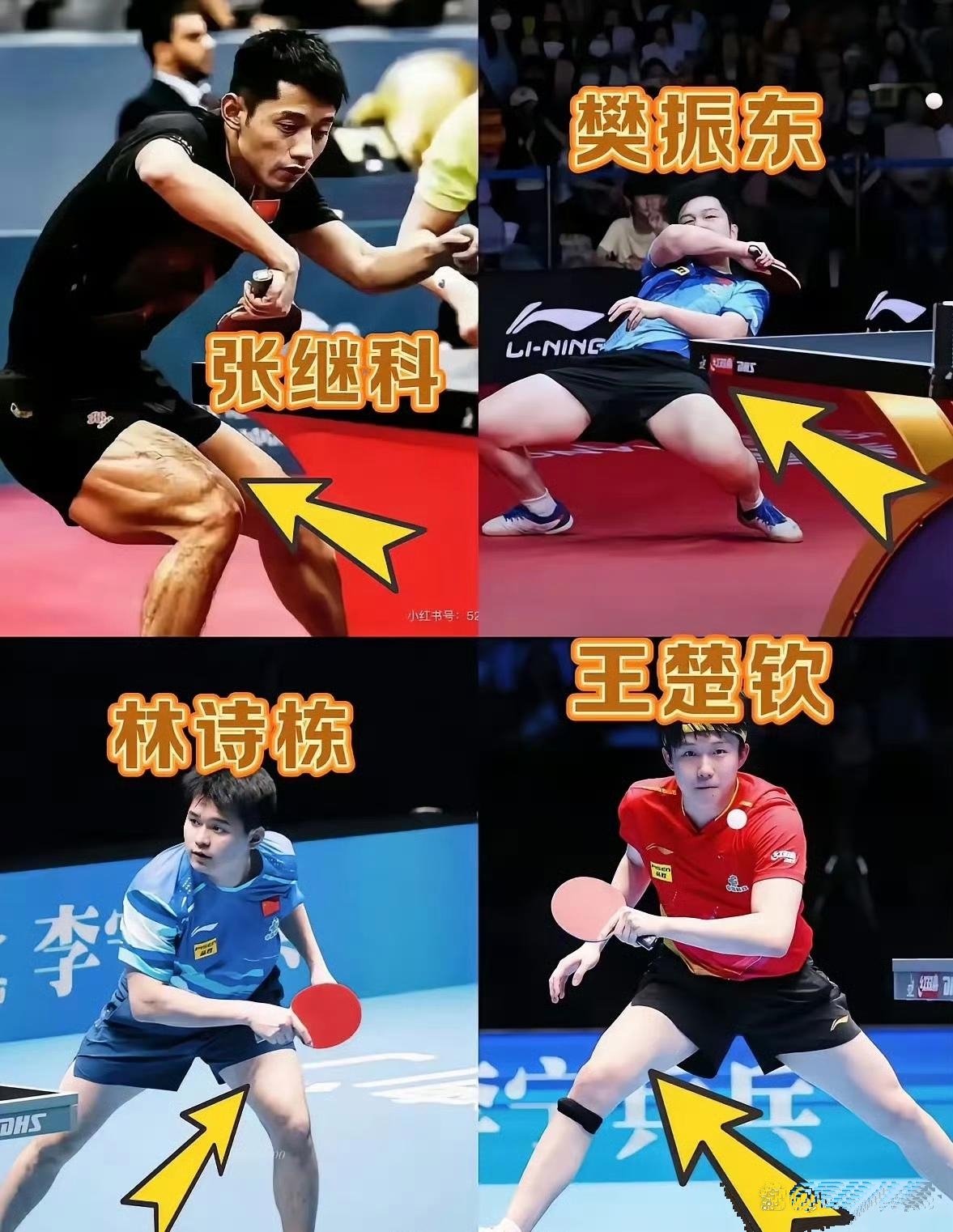 比利时乒乓球队爆冷奥地利乒乓球队，张继科制霸全场的简单介绍