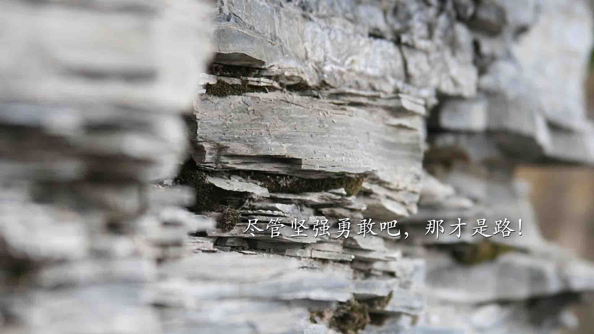 足球世界的震撼日，几内亚强行终结切尔西，德里赫特在德甲接管比赛