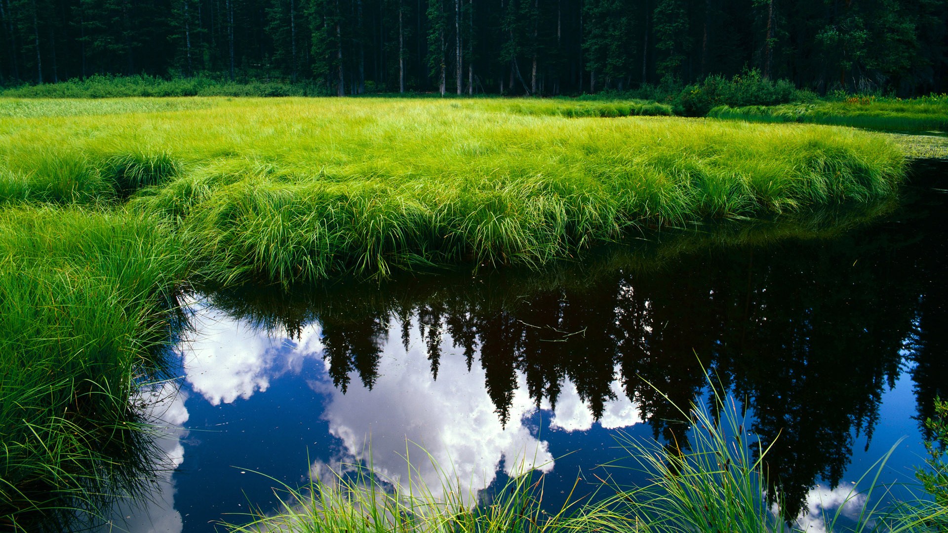 北境之鹰，当篮球之神降临世界杯之夜