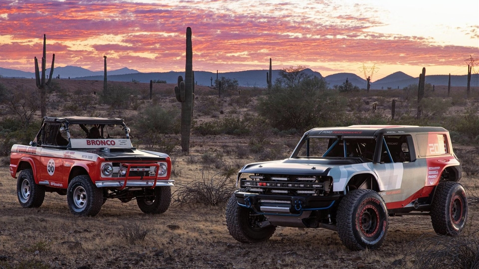 擎天一柱定乾坤，广厦字母哥导演闪电战，击碎华南虎不败金身