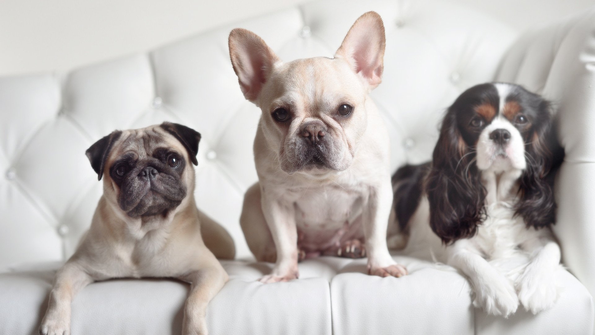 审判日,若日尼奥用一记点球完成对乌克兰的终极审判与自我救赎