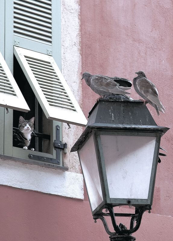 美加墨世界杯焦点战预演,利物浦全明星逆转威尔士国家队,引爆全球热议