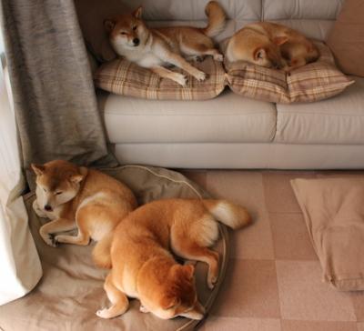 风暴席卷杭州！76人跨洋碾压浙江队，锡安化身关键先生一锤定音