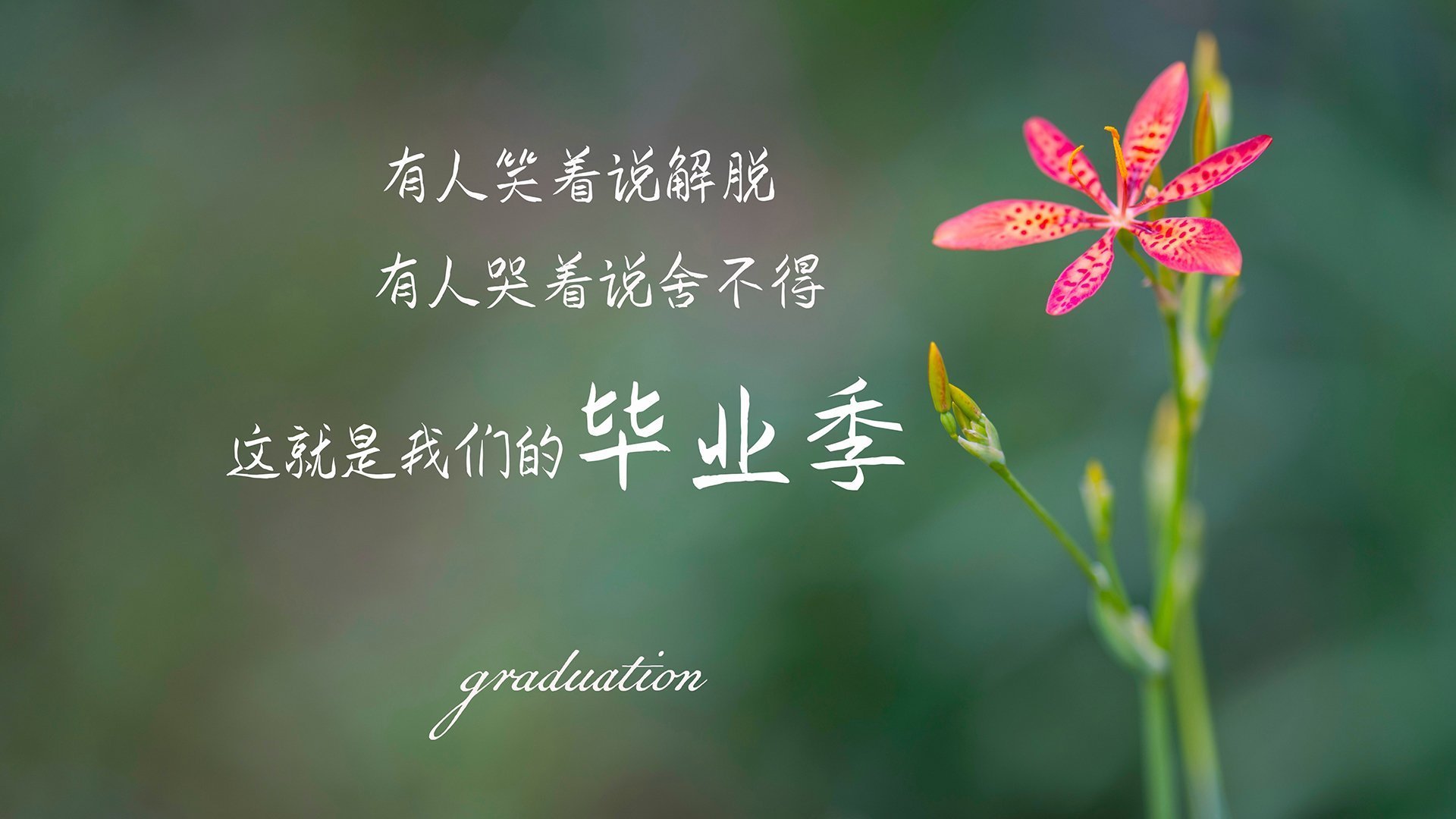 卡瓦哈尔定军山！皇马铁闸封喉，决胜局碾碎马里豪情