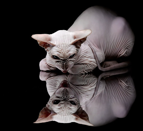 逆袭之道，奥亚尔萨瓦尔的个人爆发与丹麦的集体奇迹