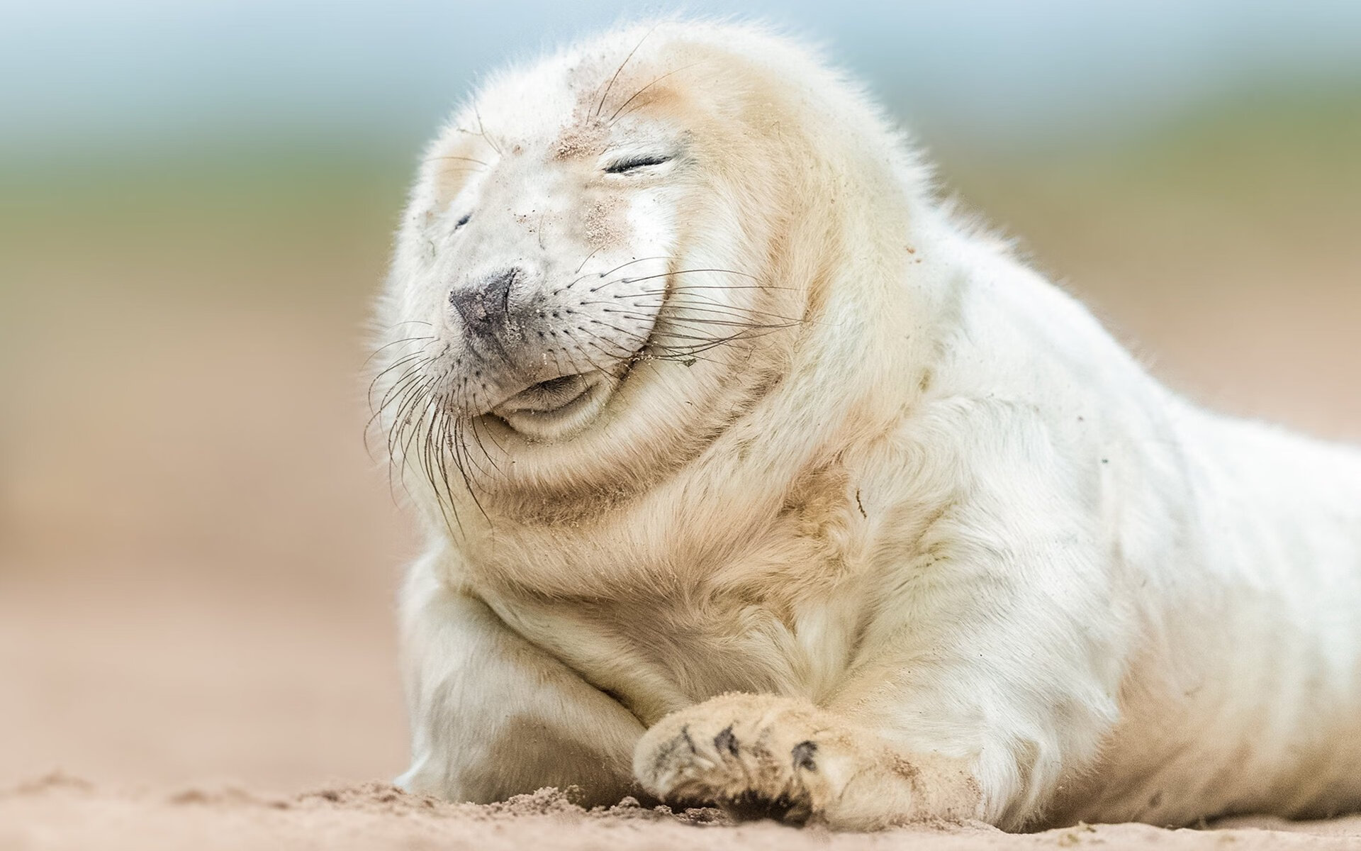 绝地逆转，NBA季后赛的战略智慧与苏格兰的突袭那不勒斯