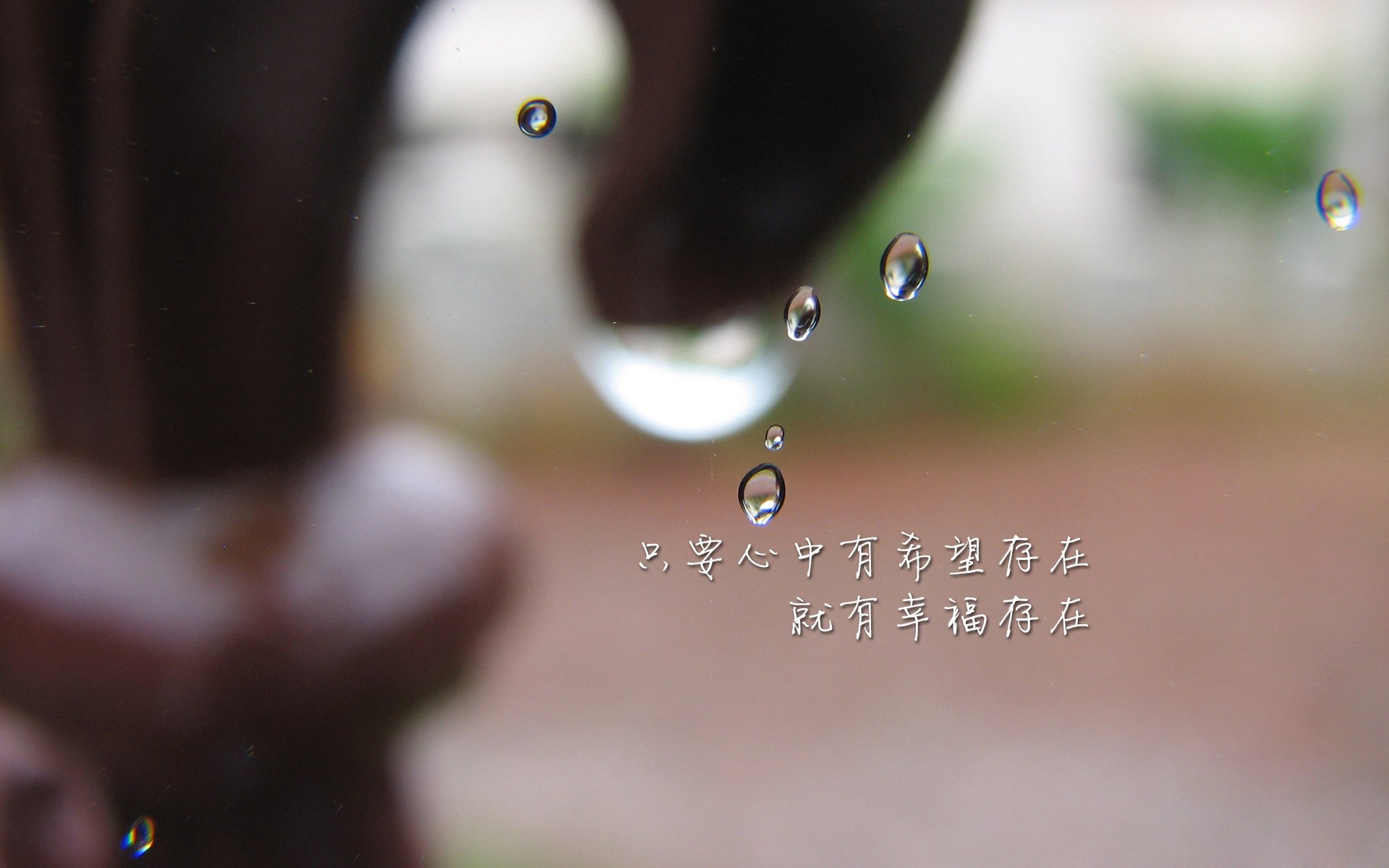 加维铁血统领，厄瓜多尔高原风暴席卷波斯铁骑—2026世界杯B组焦点战全景纪实