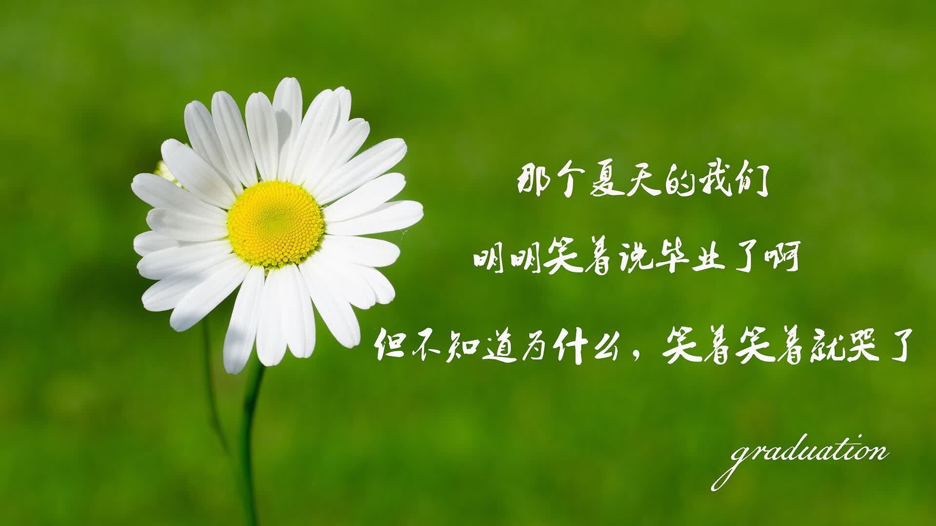那一刻，整个G组为之屏息，拉什福德绝杀挪威，改写2026世界杯命运线