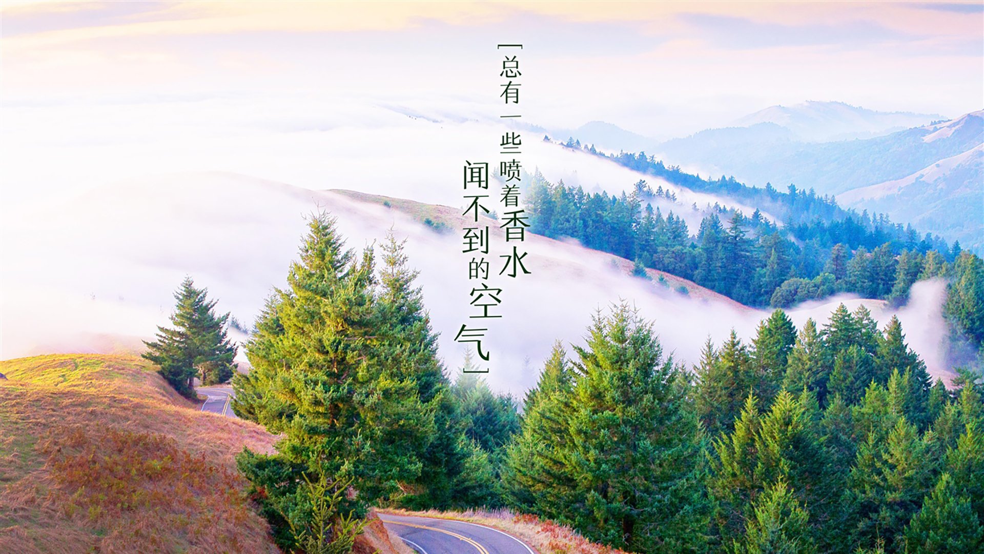 冰岛冰川下的致命一击,2026世界杯唯一的神话,哈兰德与北欧铁骑如何击碎瑞士钟表