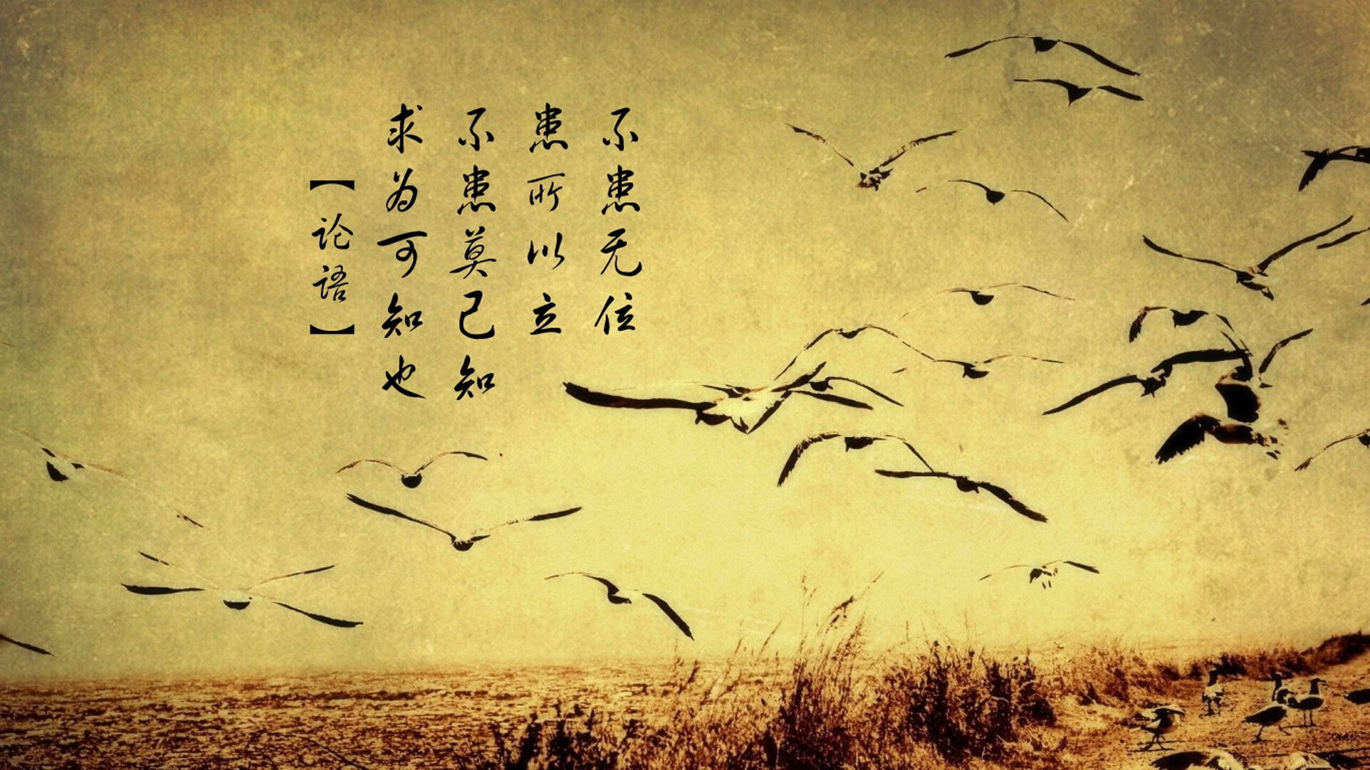 蓝武士的启示录，当唯一性战术哲学撕碎南美铁血—2026世界杯焦点战解码